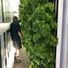 Buy Authentic Freight Farms Online - Image 4